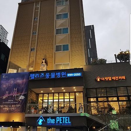 The Petel Premium Suite Busan Exteriör bild