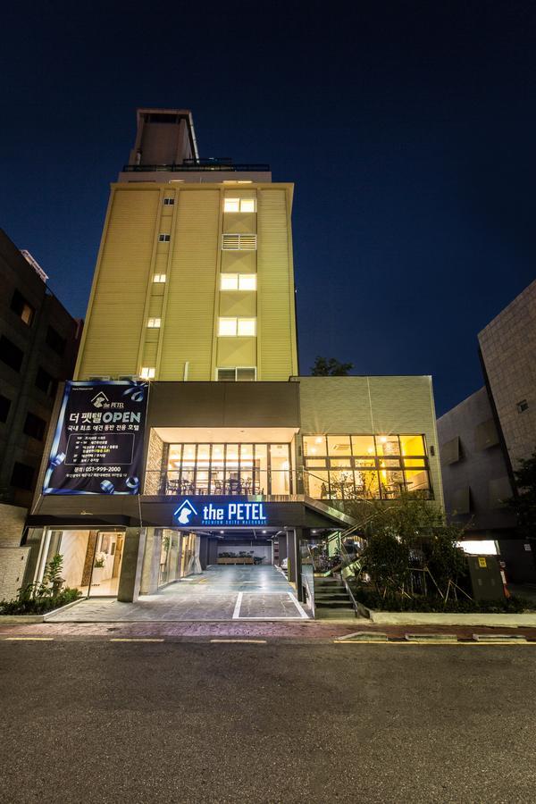 The Petel Premium Suite Busan Exteriör bild