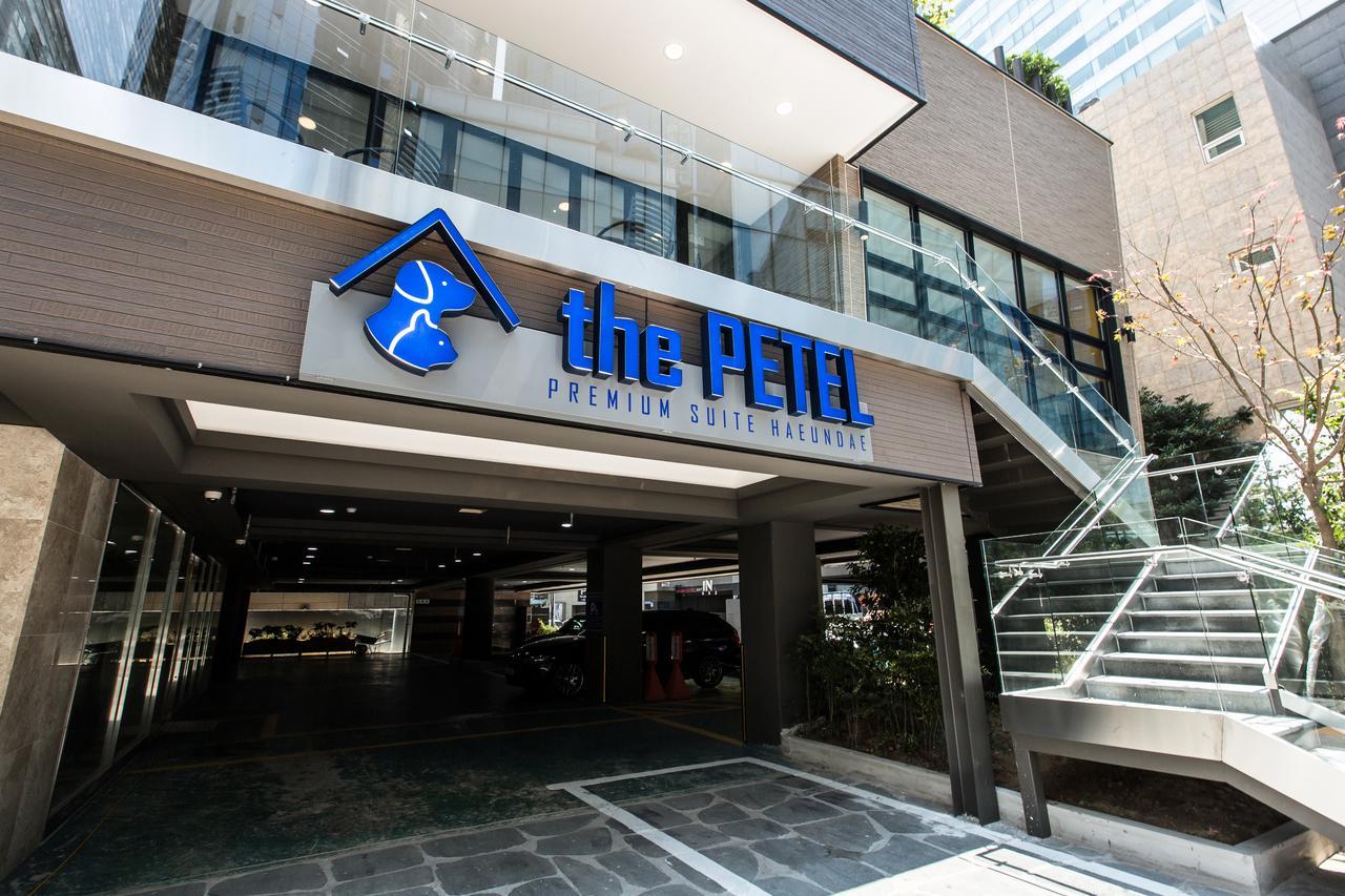 The Petel Premium Suite Busan Exteriör bild