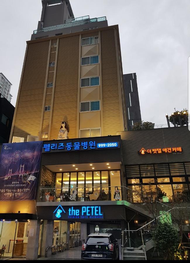 The Petel Premium Suite Busan Exteriör bild